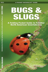 Bugs & Slugs
