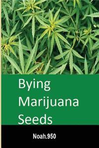 Buying Marijuana Seeds