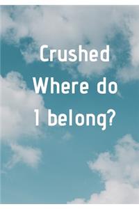 Crushed Where do I belong?