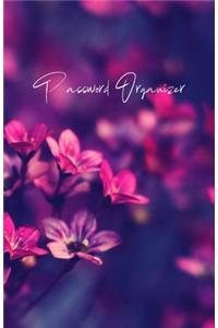 Password Organizer