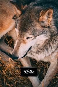 Siberian Husky Huskies Dog Pup Puppy Doggie Notebook Bullet Journal Diary Composition Book Notepad - Relaxing in Hay