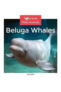 Beluga Whales