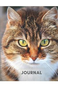 Journal