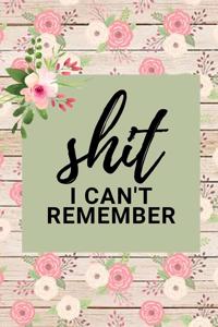 Shit I Can't Remember