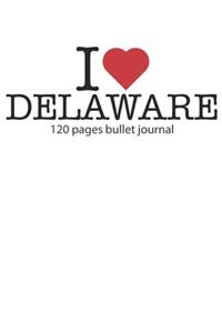 I love Delaware