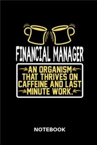 Financial Manager - Notebook