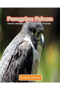 Peregrine Falcon: Fun Facts and Amazing Photos of Animals in Nature