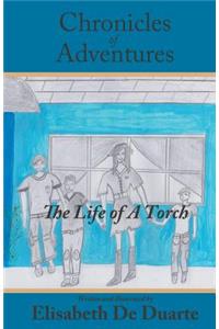The Chronicles of Adventures- Life of a Torch