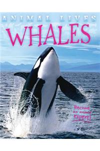 Whales