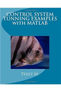 Control System Tunning Examples with MATLAB