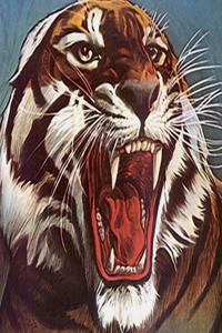 Tiger Notebook