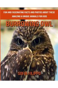 Burrowing Owl
