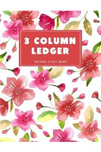 3 Column Ledger