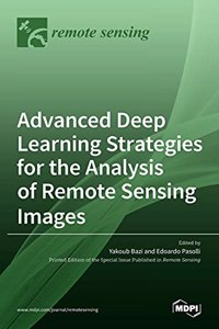 Advanced Deep Learning Strategies for the Analysis of Remote Sensing Images