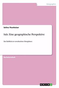 Salz. Eine geographische Perspektive