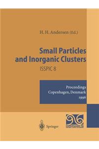 Small Particles and Inorganic Clusters