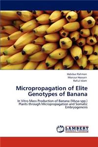 Micropropagation of Elite Genotypes of Banana