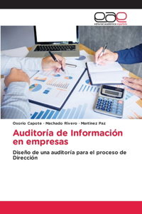 Auditoría de Información en empresas