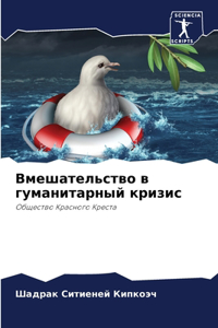 Вмешательство в гуманитарный кризис