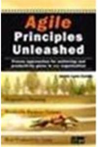 Agile Principles Unleashed: Proven approaches for achieving real productivity gains in any organization