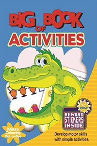 Big Book Of Activity