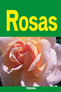 Rosas / Roses
