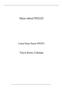 Maize inbred PH2G5Z