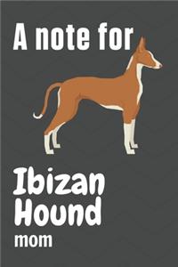 A note for Ibizan Hound mom
