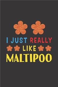 I Just Really Like Maltipoo