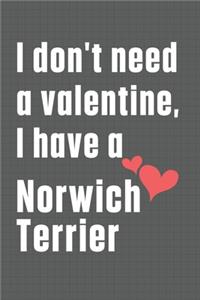 I don't need a valentine, I have a Norwich Terrier