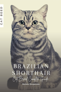 Brazilian Shorthair