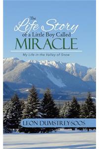 Life Story of a Little Boy Called Miracle: My Life in the Valley of Snow