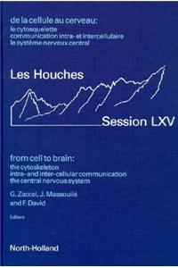 From Cell to Brain