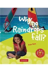 Why Do Raindrops Fall?