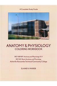 Anatomy & Physiology Coloring Workbook