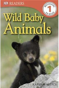 Wild Baby Animals