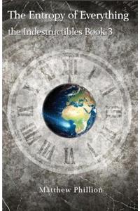 The Entropy of Everything