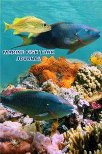 Marine Fish Tank Journal