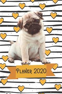 Planer 2020