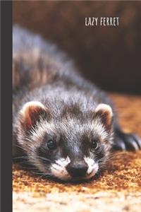 Lazy Ferret