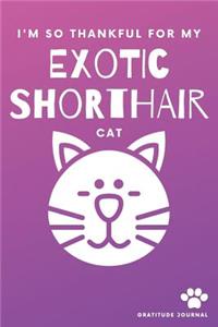 I'm So Thankful For My Exotic Shorthair Cat Gratitude Journal