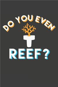 Do You Even Reef?