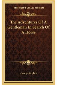 The Adventures of a Gentleman in Search of a Horse