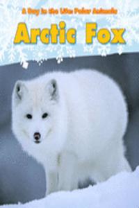 A Day in the Life: Polar Animals Pack A of 3