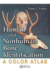 Human and Nonhuman Bone Identification