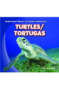 Turtles / Tortugas