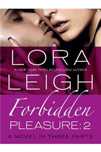 Forbidden Pleasure: Part 2