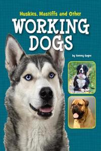 Huskies, Mastiffs and Other Working Dogs