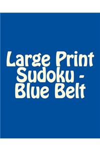 Large Print Sudoku - Blue Belt