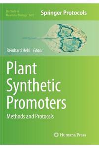 Plant Synthetic Promoters